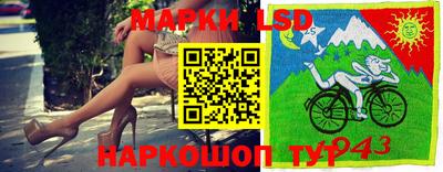 гидропоника Аргун
