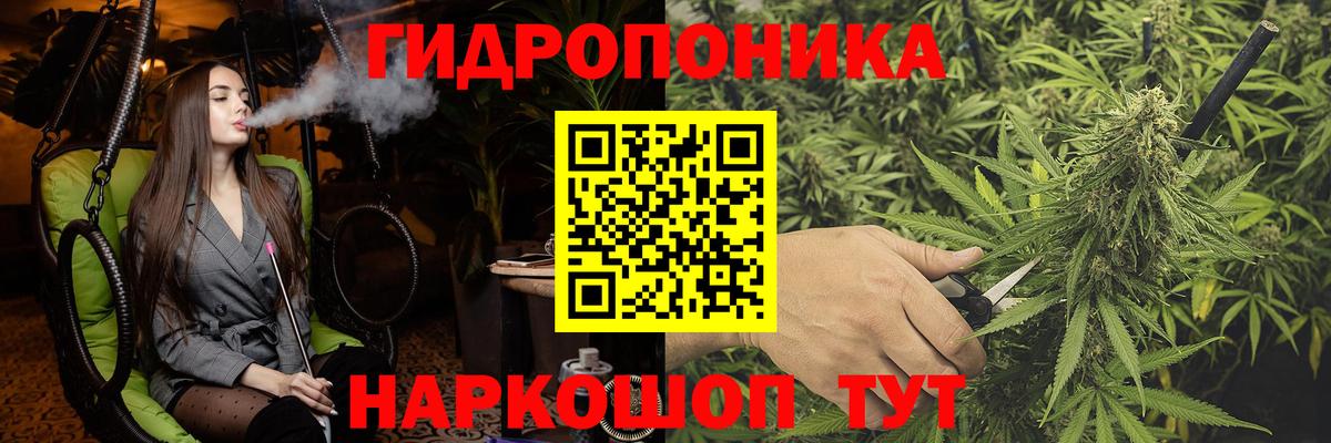 Шишки марихуана OG Kush Волжск